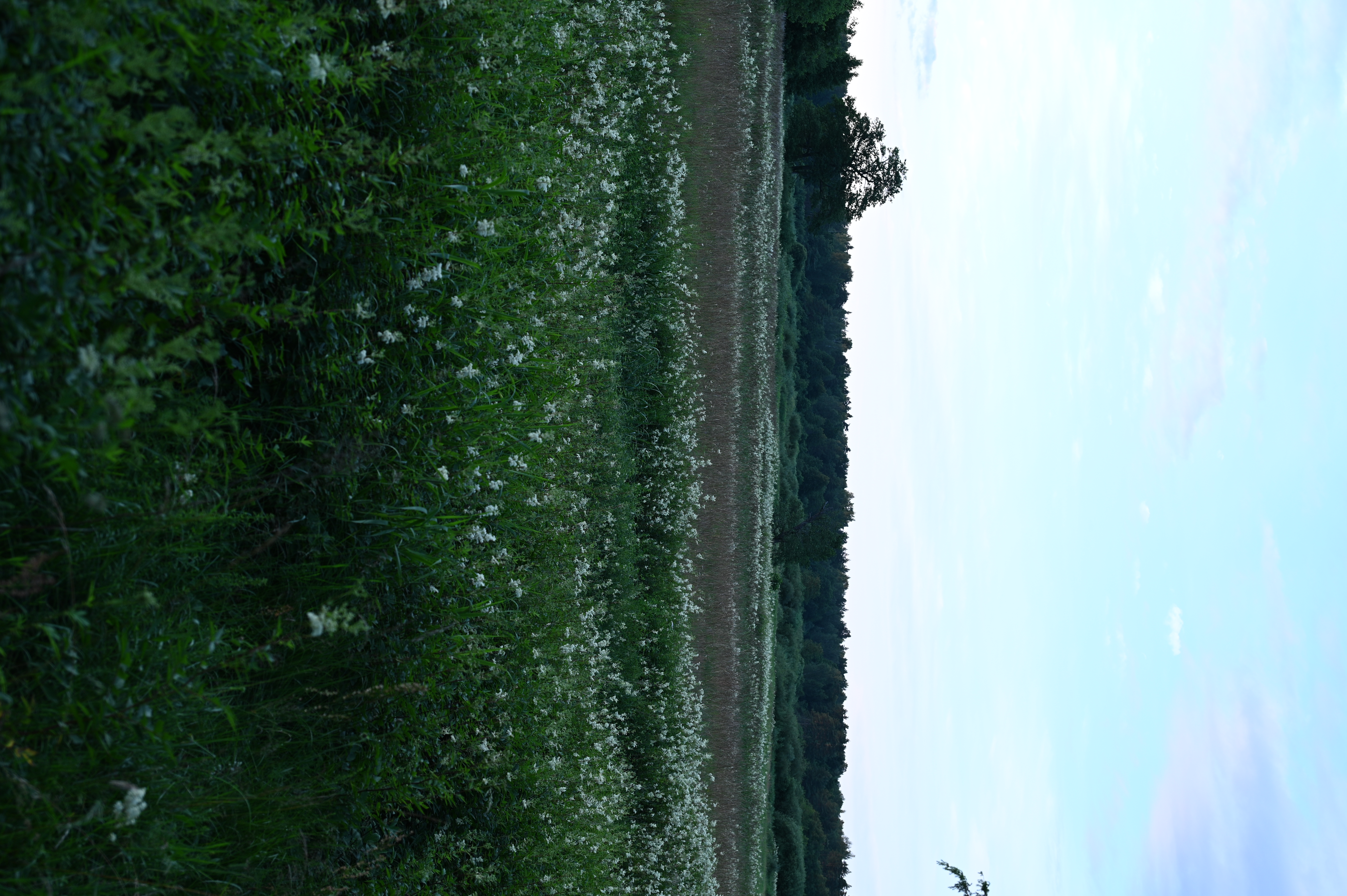 2025/07/09-14 - trip/DSC_0086.JPG